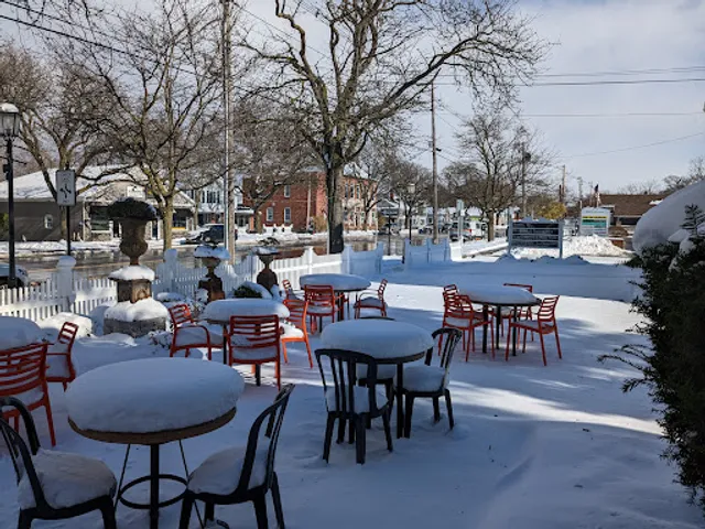 Orange Cat Coffee Co