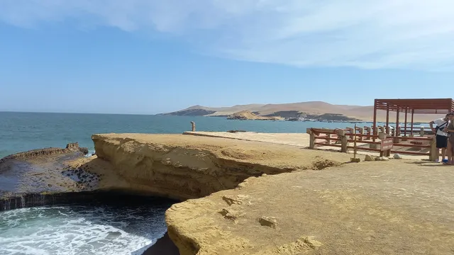 Tours en Paracas | Full Day Paracas