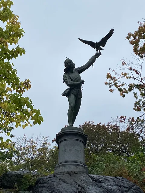 The Falconer