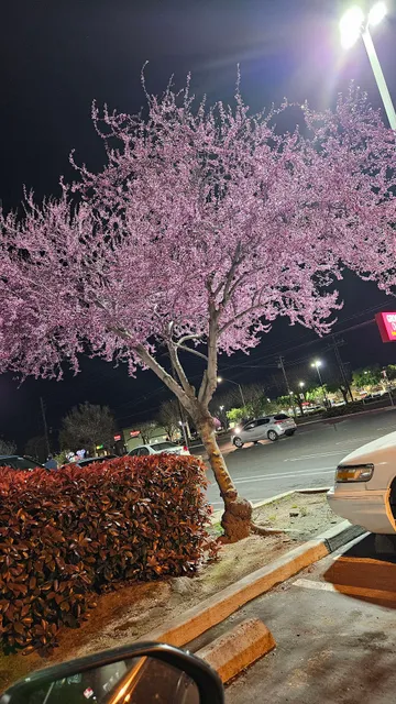 Old Oakdale Road Shopping Center