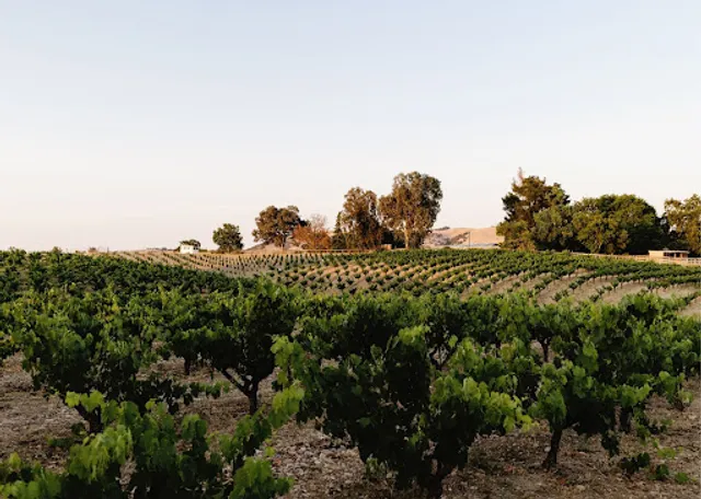 Bella Luna Estate Winery