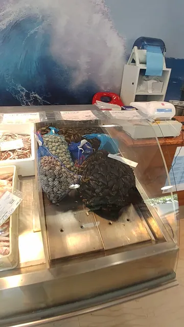 Pescheria Alberto Di Giovagnoli Riccardo