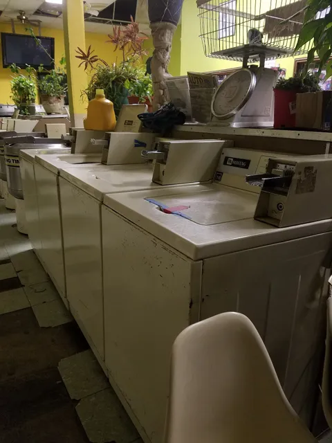 Frog Hollow Appliances