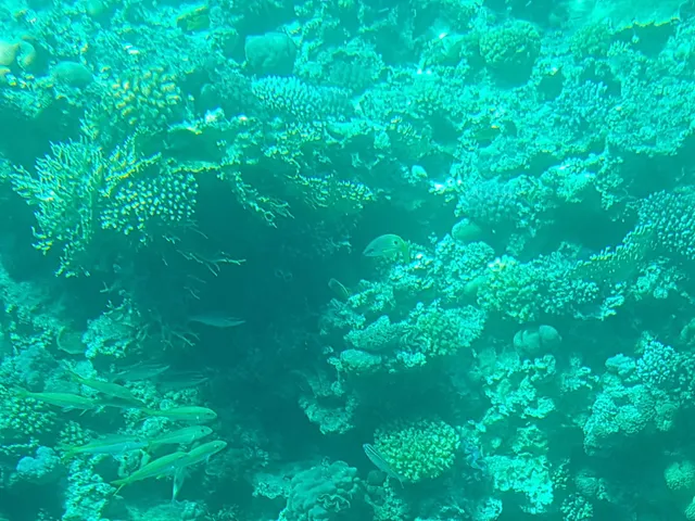 Sharm Sporting Club Beach