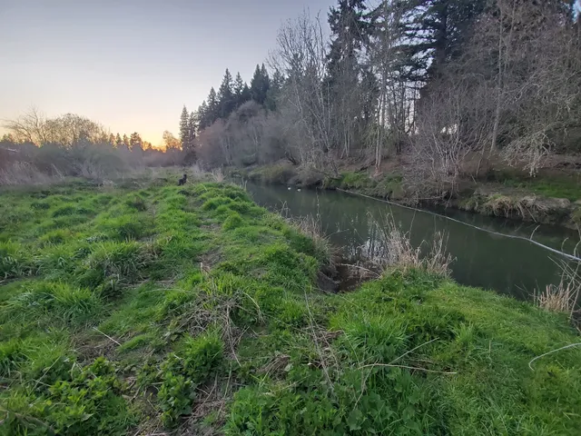 Whispering Woods Natural Area