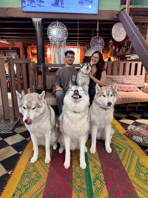 Husky house