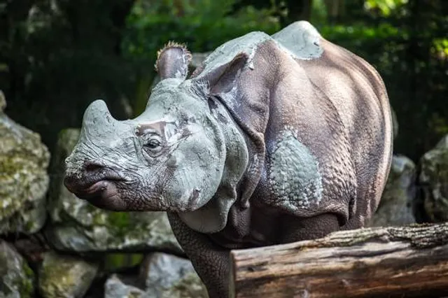 DierenPark Amersfoort