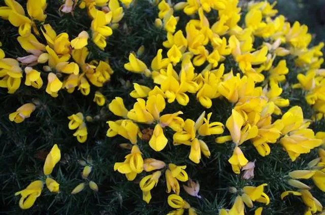 North Antrim Cliff Path Hike
