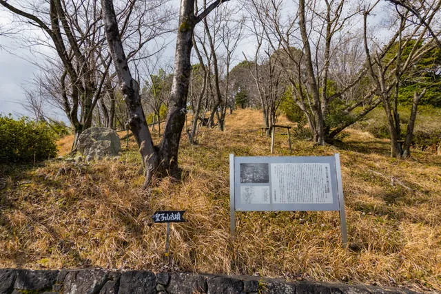photo-2