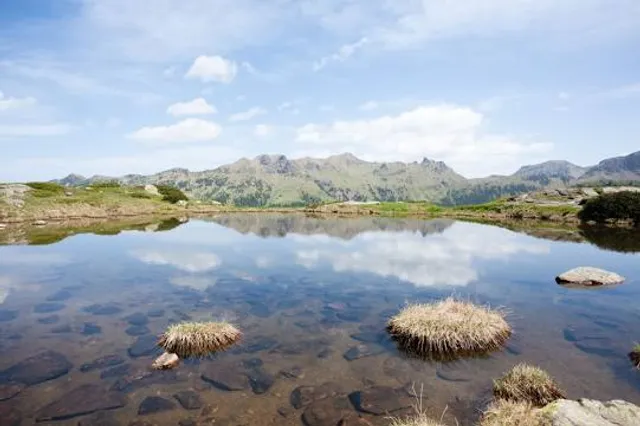 Bywyd Gwyllt Glaslyn Wildlife - Ospreys