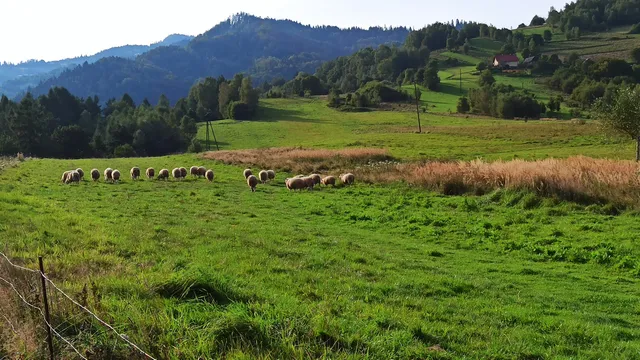 Punkt Widokowy Na Węgielniku