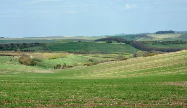 The Ridgeway National Trail