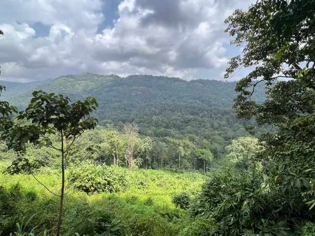 SHOLAYAR RESERVE FOREST