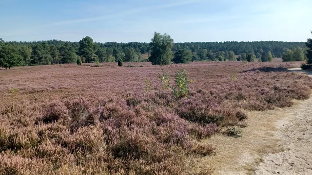 Start Etappe 2 Heidschnuckenweg