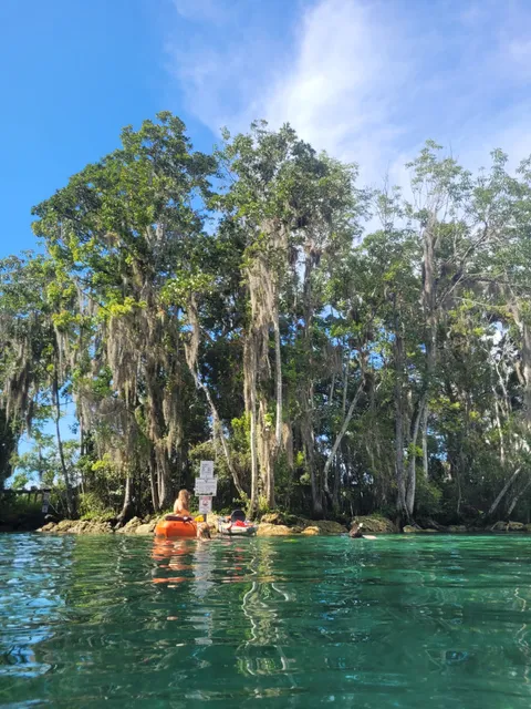 Crystal River Manatee Tour
