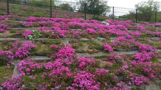 Nigawa Yurinocho District Landslide Museum