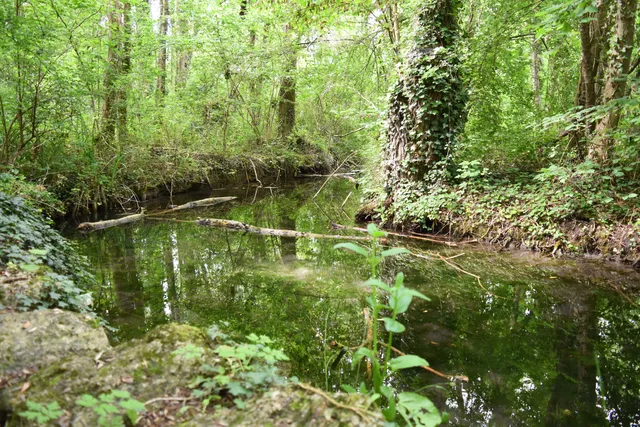 départemental des courtils des Mauves Natural Park