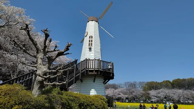 Citizen's Forest Minuma Green Center