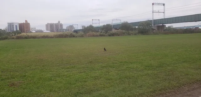 River Side Park Higashikushihara