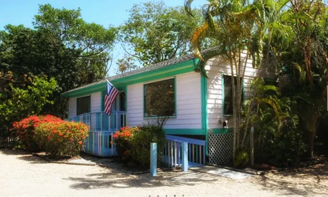 Hirdie-Girdie Gallery