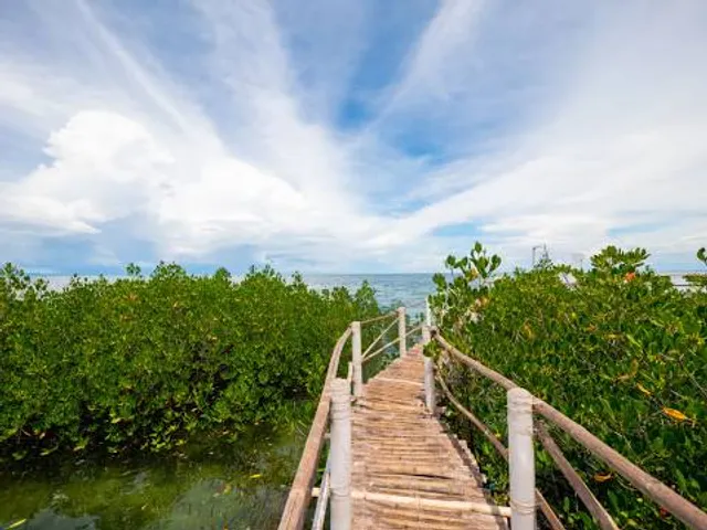 Omagieca Obo-ob Mangrove Garden