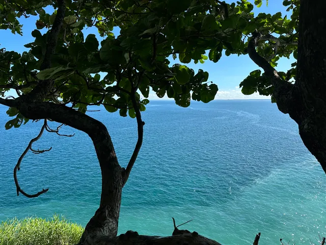 ငှက်ကျွန်း