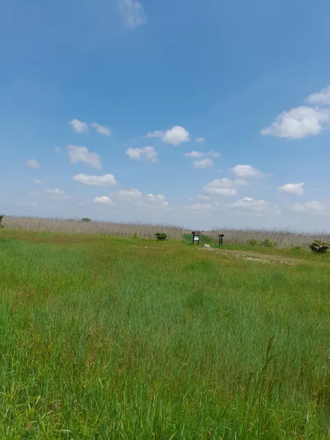 Farmosi Madárvárta