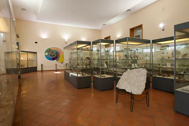 Paleontological Museum