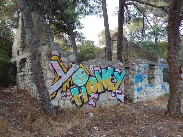photo-1