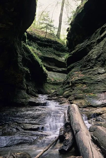 Rocky Hollow Falls Canyon Nature Preserve