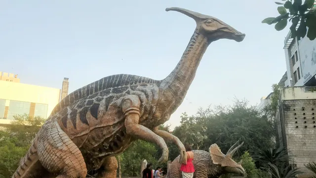 Dinosaur Park