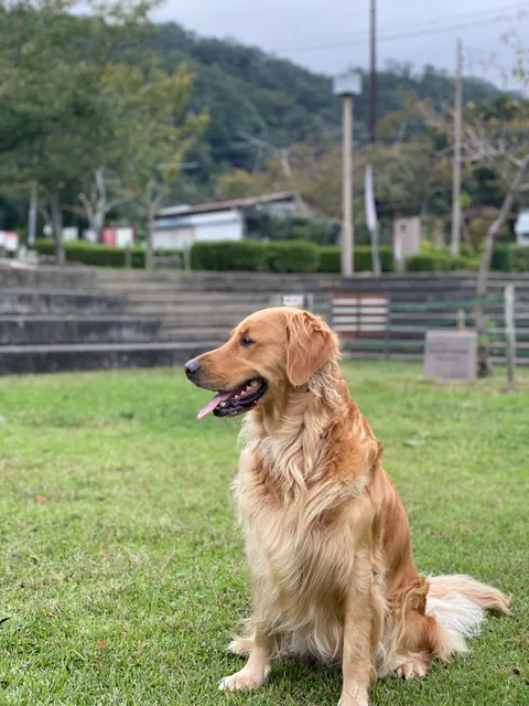 Takatsuki Settsukyo Gorge Administration Office