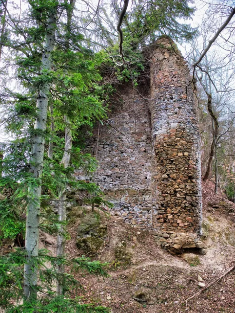 Burgruine Schmirnberg