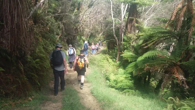Eastern Taranaki Experience