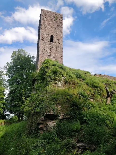 Burgruine Scharfenberg (Münz)