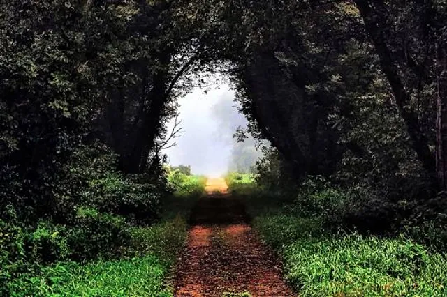La Crosse River State Trail