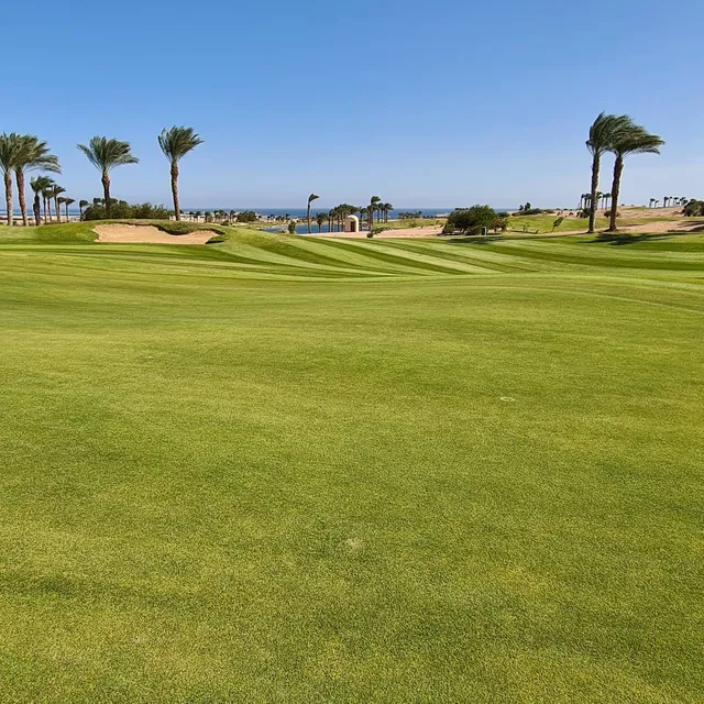 Madinat Makadi Golf Resort