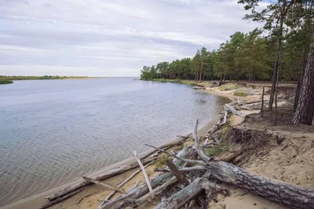 Piejūras dabas parks