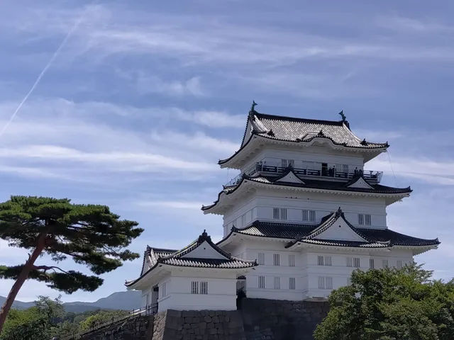 Odawara Castle Park Children's Playground