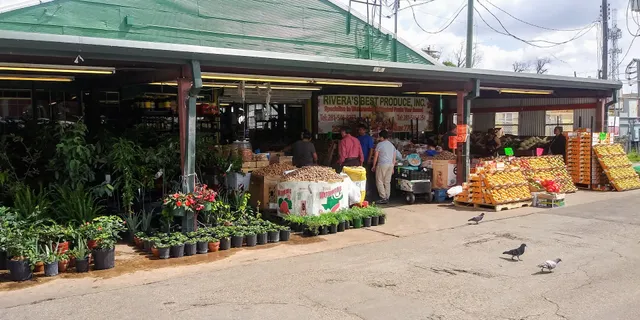The Houston Farmers Market