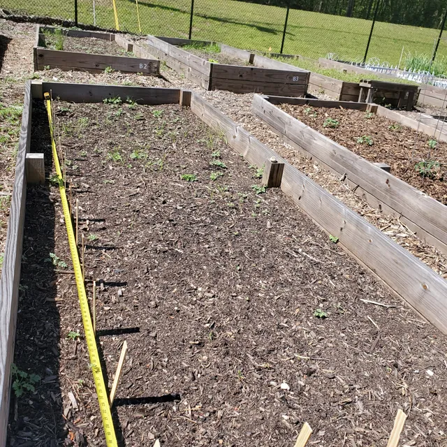 City of Sugar Hill Community Garden