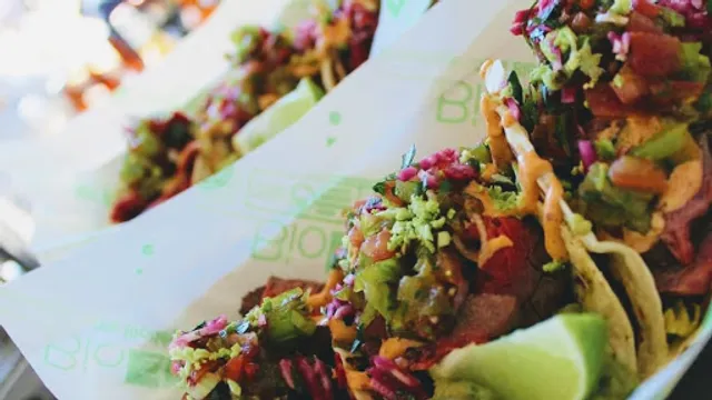 El Cactus du marché du lez