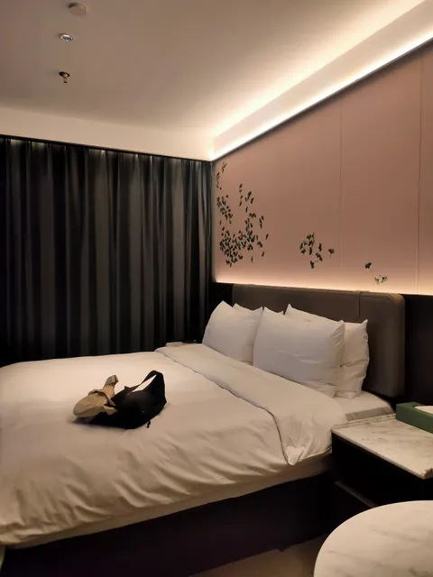 Pujing Weiting Hotel