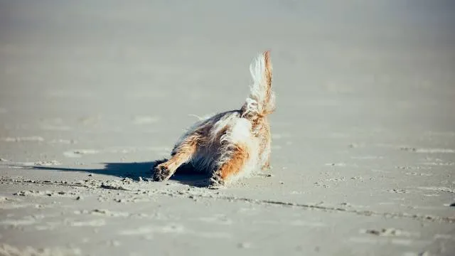 Pantai Ulee Rubek. (Seunuddon)