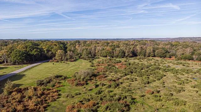 Heartland Forest Nature Experience