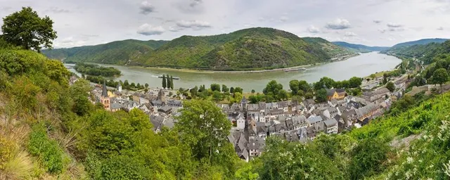 Buchsbaum-Wanderpfad