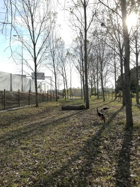 Parque Canino da Seara