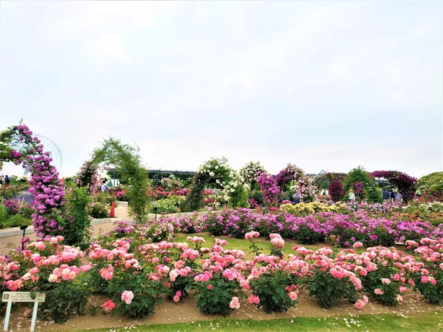 Heiwa-no-Baraen (Rose Garden for Peace)