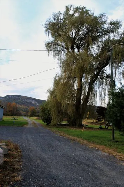 Gedenkstätte für die Opfer des Konzentrationslagers Langenstein-Zwieberge