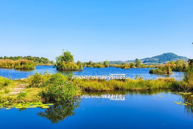 Rayong Botanical Garden (Aquatic Plants and Living Collection)